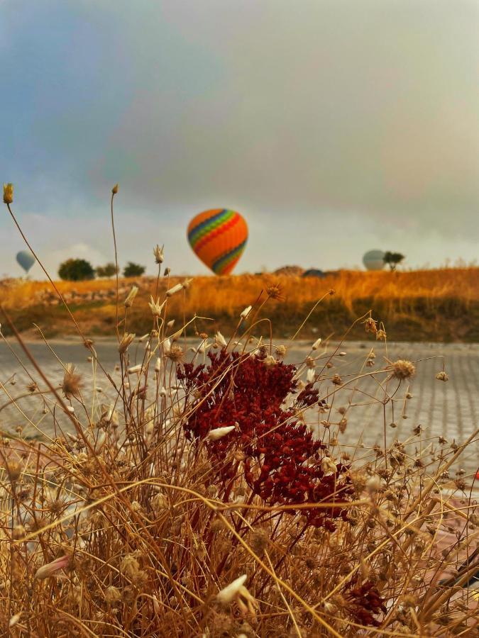 Soleado Cappadocia Hotel Uchisar Εξωτερικό φωτογραφία